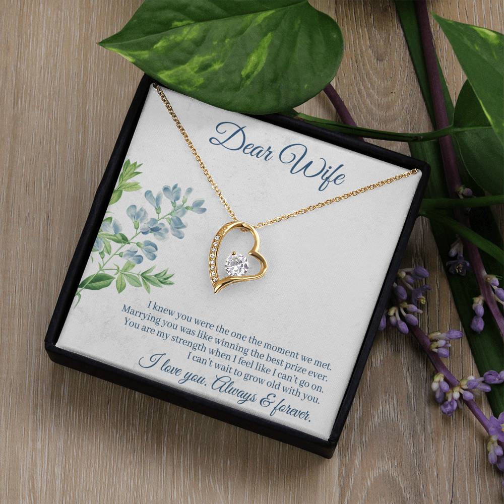 To Wife - I knew you were - Forever Love Necklace